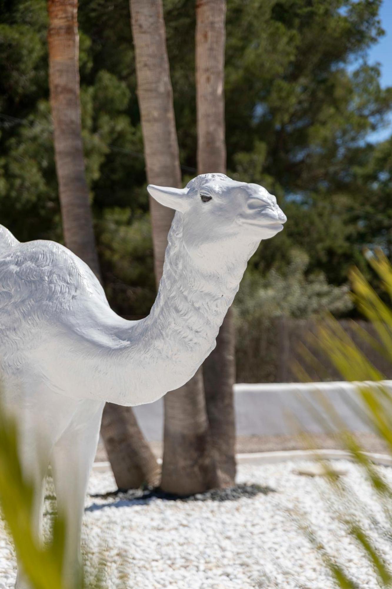 Villa Nivaria Sant Jordi de ses Salines Buitenkant foto
